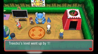 ORAS_Jul142014_127.png