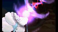 ORAS_Aug112014_09.jpg