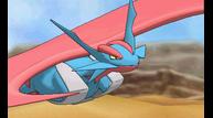 ORAS_Aug112014_13.jpg