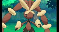 ORAS_Aug112014_19.jpg