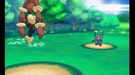ORAS_Aug112014_21.jpg