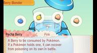 ORAS_Aug112014_40.jpg