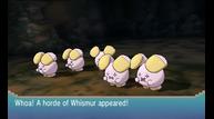 ORAS_Aug112014_122.jpg