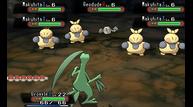 ORAS_Aug112014_123.jpg