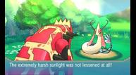 ORAS_Sep1220114_10.jpg