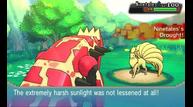 ORAS_Sep1220114_13.jpg