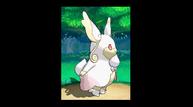 ORAS_Sep1220114_59.jpg