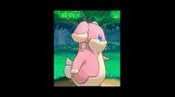 ORAS_Sep1220114_66.jpg