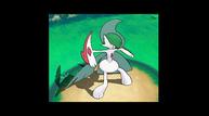 ORAS_Sep1220114_81.jpg