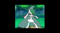 ORAS_Sep1220114_82.jpg