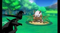 ORAS_Sep1220114_84.jpg