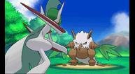 ORAS_Sep1220114_85.jpg