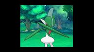 ORAS_Sep1220114_100.jpg