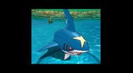 ORAS_Sep1220114_110.jpg