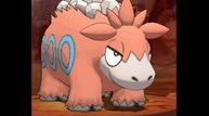 ORAS_Sep1220114_121.jpg