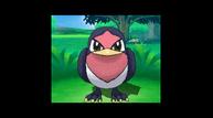 ORAS_Sep1220114_127.jpg