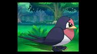 ORAS_Sep1220114_128.jpg