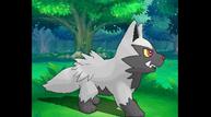 ORAS_Sep1220114_129.jpg