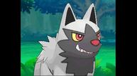 ORAS_Sep1220114_130.jpg
