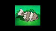 ORAS_Sep1220114_131.jpg