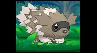 ORAS_Sep1220114_132.jpg