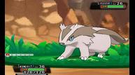 ORAS_Sep1220114_167.jpg