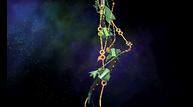 ORAS_Oct162014_09.jpg