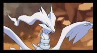 ORAS_Oct162014_63.jpg