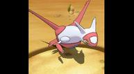 ORAS_Oct162014_93.jpg