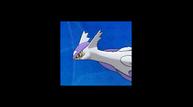 ORAS_Oct162014_97.jpg