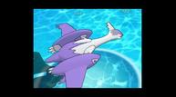 ORAS_Oct162014_109.jpg