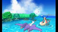 ORAS_Oct162014_110.jpg