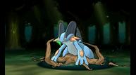 ORAS_Oct162014_116.jpg