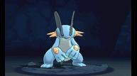 ORAS_Oct162014_124.jpg