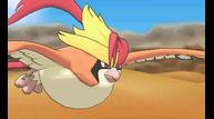 ORAS_Oct162014_131.jpg