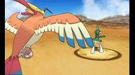 ORAS_Oct162014_132.jpg