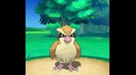 ORAS_Oct162014_137.jpg