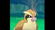 ORAS_Oct162014_138.jpg