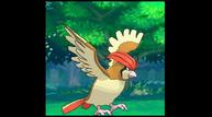 ORAS_Oct162014_139.jpg