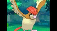 ORAS_Oct162014_140.jpg