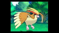 ORAS_Oct162014_141.jpg