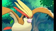 ORAS_Oct162014_142.jpg