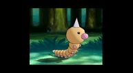 ORAS_Oct162014_151.jpg
