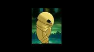 ORAS_Oct162014_153.jpg