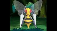 ORAS_Oct162014_155.jpg