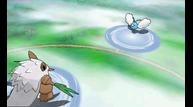 ORAS_Oct162014_199.jpg