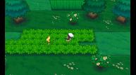 ORAS_Oct162014_224.jpg