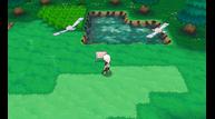 ORAS_Oct162014_234.jpg