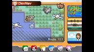 ORAS_Oct162014_240.jpg