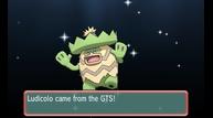 ORAS_Oct162014_270.jpg